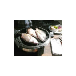 BARBECUE SAFIRE COOKER À CHARBON 14 BARBECUE SAFIRE COOKER À CHARBON -Minn Kota Soldes Magasin barbecue safire cooker a charbon 5