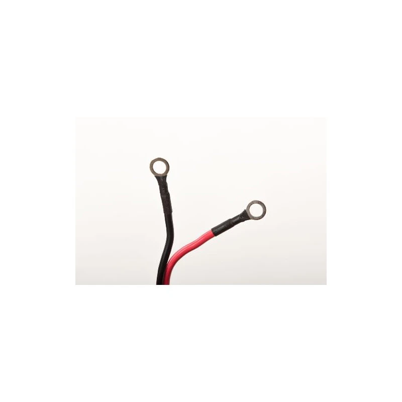 MOTEUR HASWING COMAX N 55 LBS 12V 11 MOTEUR HASWING COMAX N 55 LBS 12V – Image 11