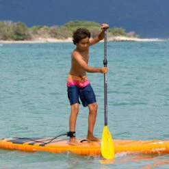 PAGAIE FANATIC RIPPER CARBON 25 VARIO 6.5 -Minn Kota Soldes Magasin pagaie fanatic ripper carbon 25 vario 65 3